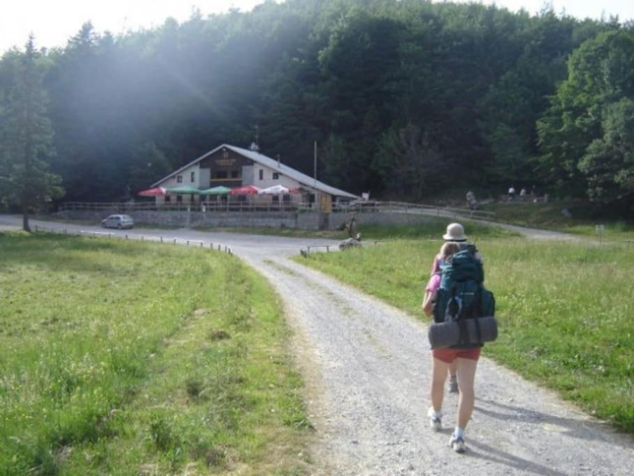 Cozy Rooms In Nature, Perfect For Relax Ilirska Bistrica Eksteriør billede